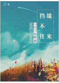 民女复仇记