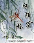 重生之瓷来运转