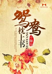 流星采战记