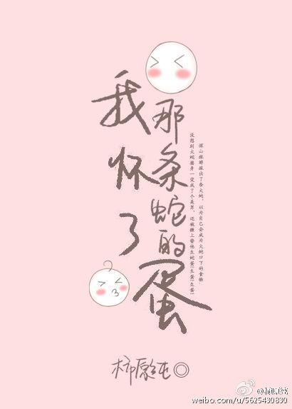 家有俩哥1